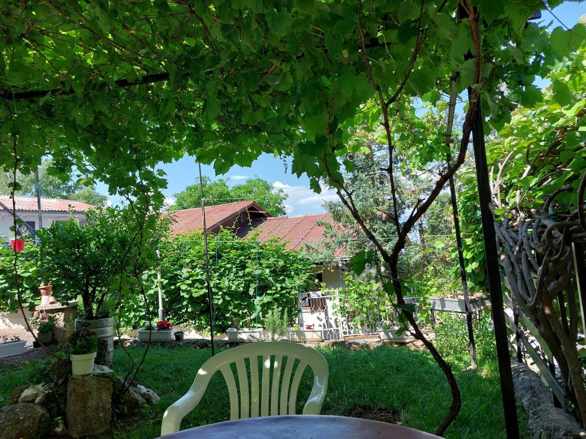 Vila Visni Лагадин Номер фото